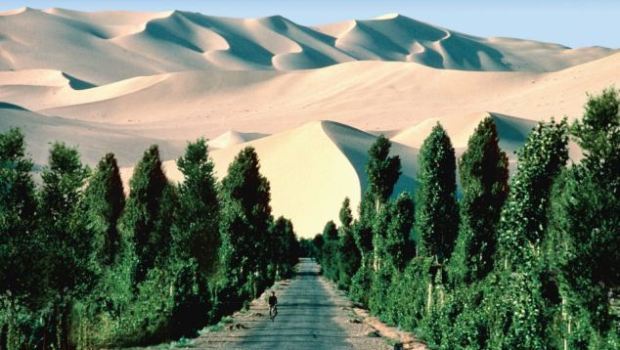 Great-Green-Wall-620x350-1